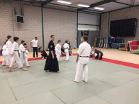 Training in de dojo