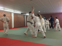 Beoefenaars op de mat